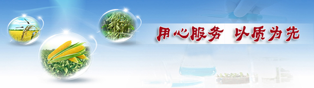 樱桃视频下载APP成人版樱桃视频APP污电影厂家用心服务，以质为先