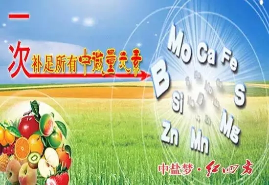 补充营养，微量元素少不了！