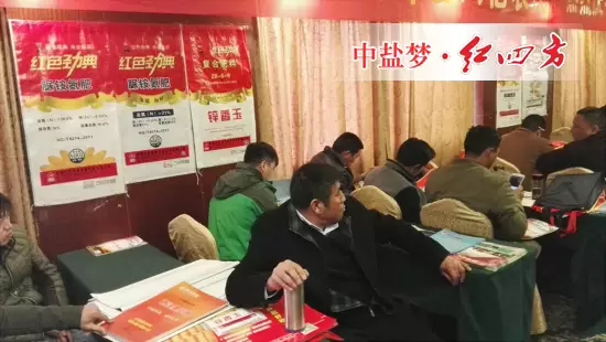樱桃视频下载APP复合肥品牌经销商陆续进场