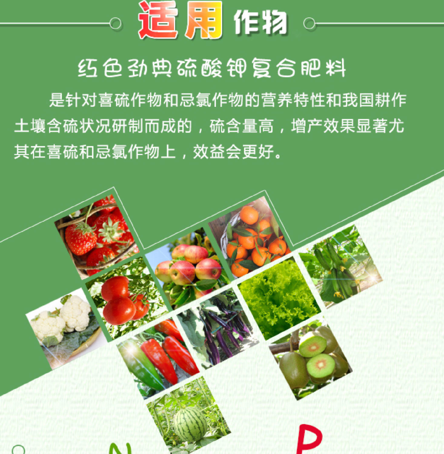 樱桃视频下载APP22.png