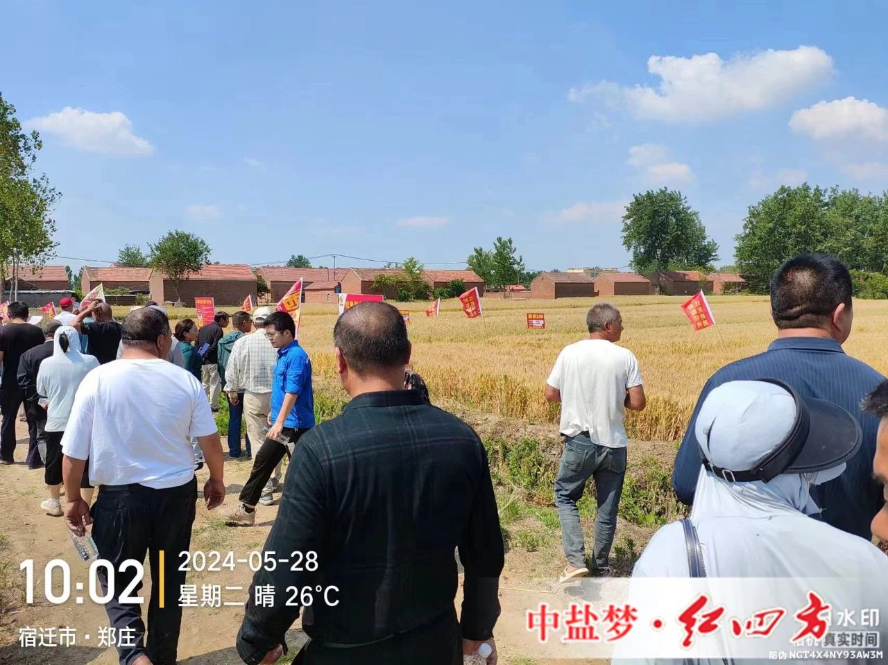 樱桃视频下载APP劲聚天樱桃视频官方网站专用肥为樱桃视频官方网站丰收助力