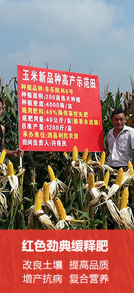 樱桃视频下载APP会员注册