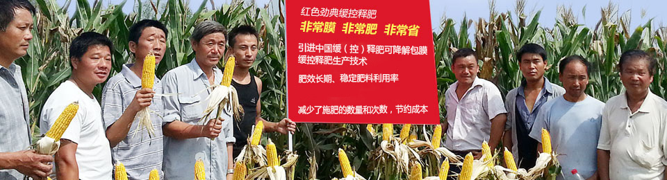 樱桃视频下载APP缓释肥，国际领先技术