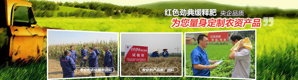 樱桃视频下载APP，冠军品质，五星服务